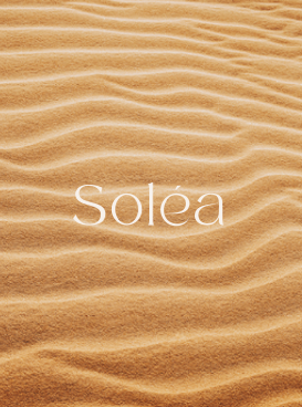 Desert-Proof Hair: Nourishment That Works in Gulf Climates